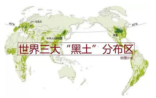 突发事务怎样攻击价钱——以地缘政治视角_经航佰福国际集团有限公司